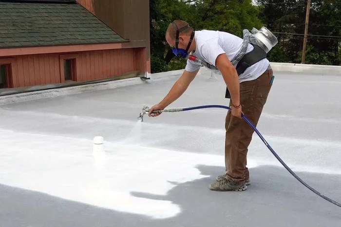Foam roofing polyurethane basics greg palya
