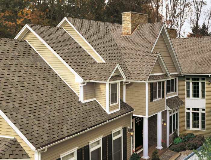 Commercial asphalt roof