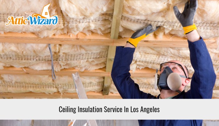 Insulation attic removal vacuum removing fiberglass foam spray does dirty house old remove why choose board