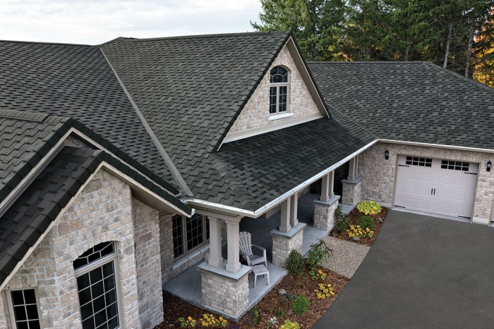 Roofing tampa fl shingles architectural companies shingle roof