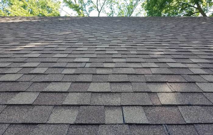 Shingles shingle roofing
