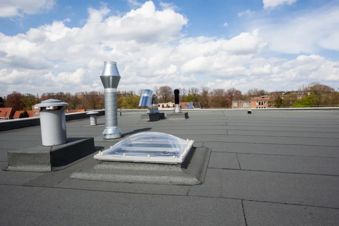 Flat roof installation cost