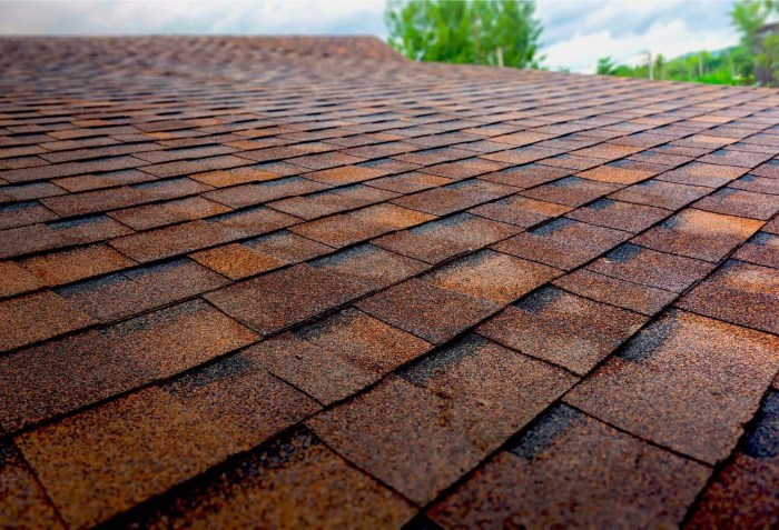 Asphalt shingle roofing company