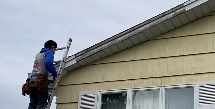 Felt roof repairs near me